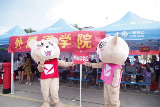 从萌新到大咖鲸鱼直播助力普通人实现舞台梦想