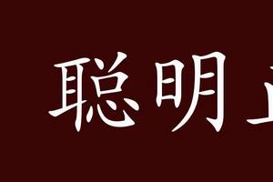 聪明正直的出处,释义,典故,近反义词及例句用法   成语知识