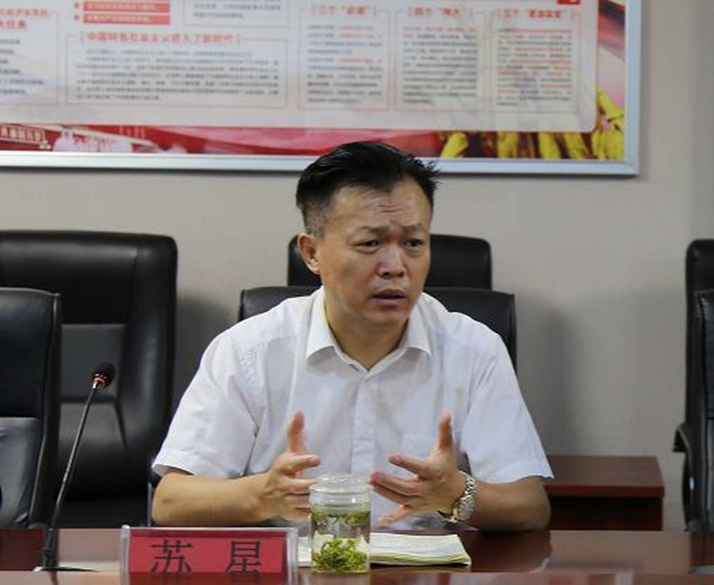 海口苏星与城市发展同频共振