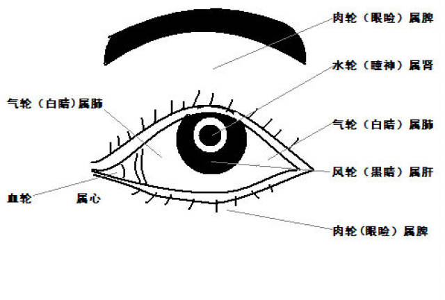 五轮学说图