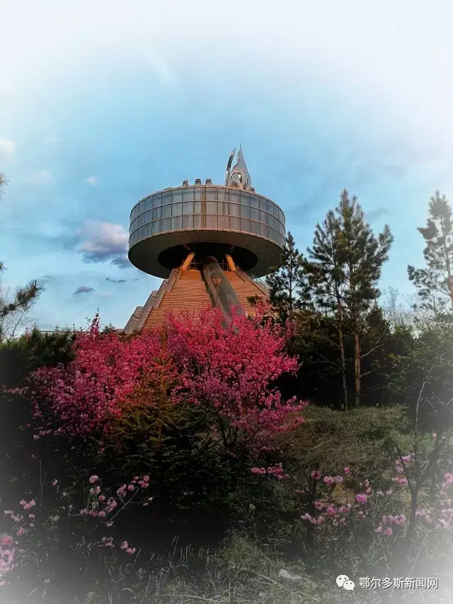 桃花盛开的东胜圣灯公园.
