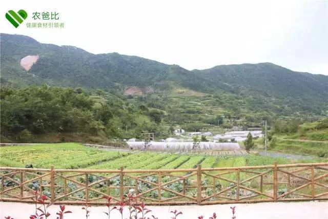 游洋镇生态农场