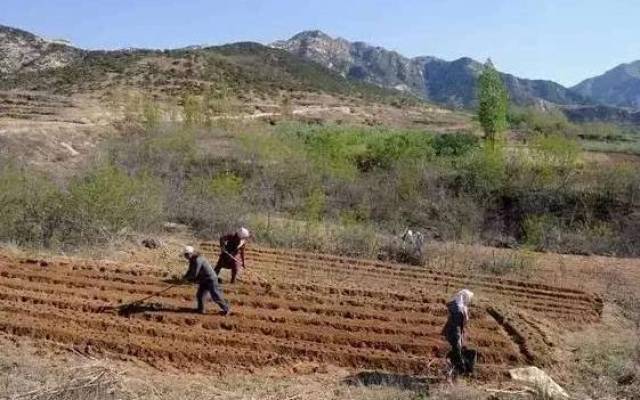 土地确权后开垦的荒地属于我吗能使用多少年