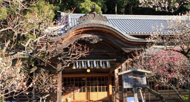 日本芝麻旅游:日本太宰府