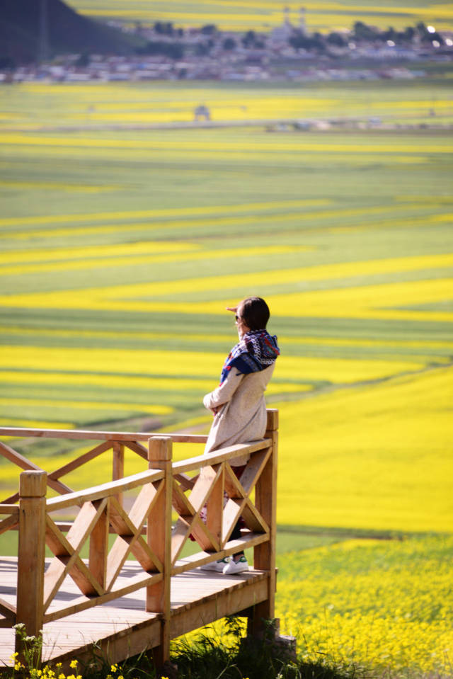 七月油菜花海里的女游客