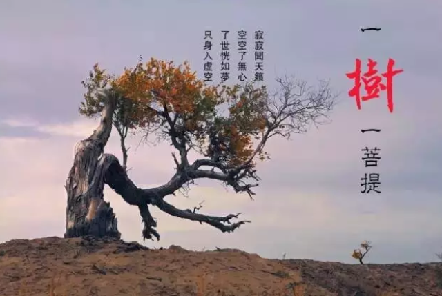 三句话,领悟人生真谛
