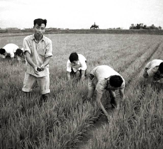 读懂1980年代,从一个小县城的老照片开始