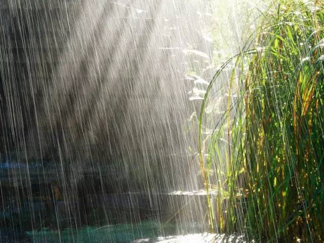骤雨忽至什么意思,骤雨的释义,骤雨大作的意思_大山谷图库