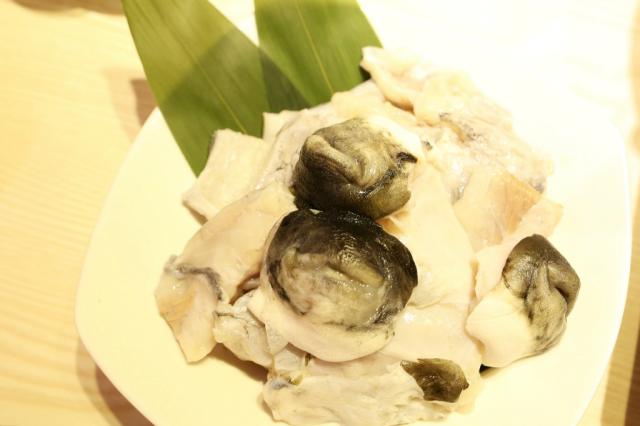 上海|这里有最毒的河豚料理,也有最美的老板娘