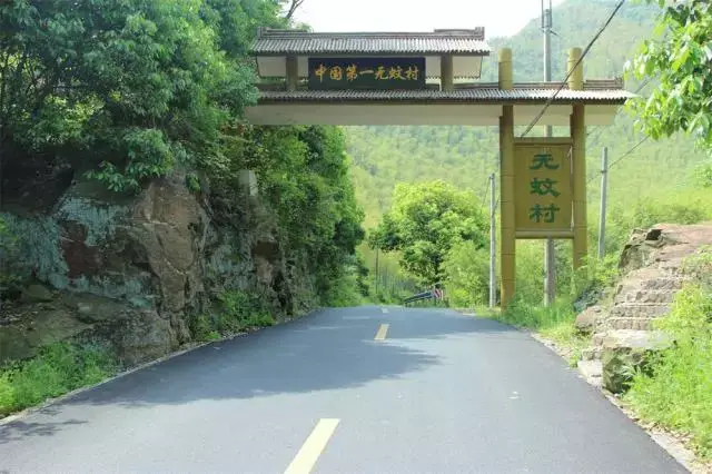 中国第一无蚊村 — 景坞村