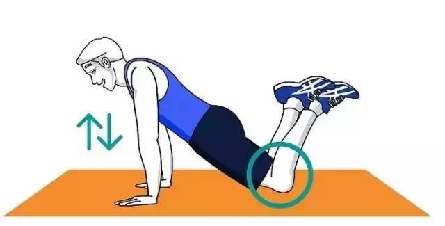 带你认识常见的各种俯卧撑,有图有真相包学包会!