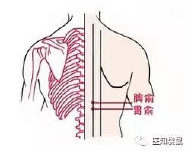 积食、拉肚子、消化不良?小儿推拿帮宝宝不遭罪!_搜狐网