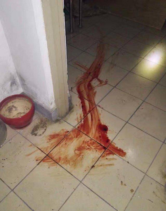 血流在家里地上的图片图片