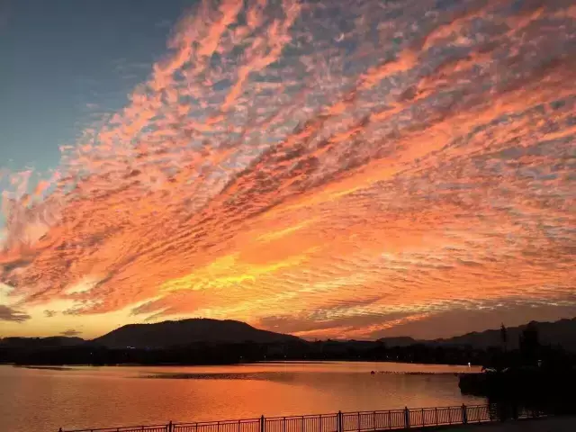 一片绚丽的火烧云横亘腾冲的天空,就像一只无比巨大的"火凤凰",蔚为