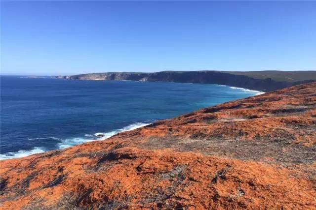 澳洲袋鼠岛| 南太平洋别墅 southern ocean lodge