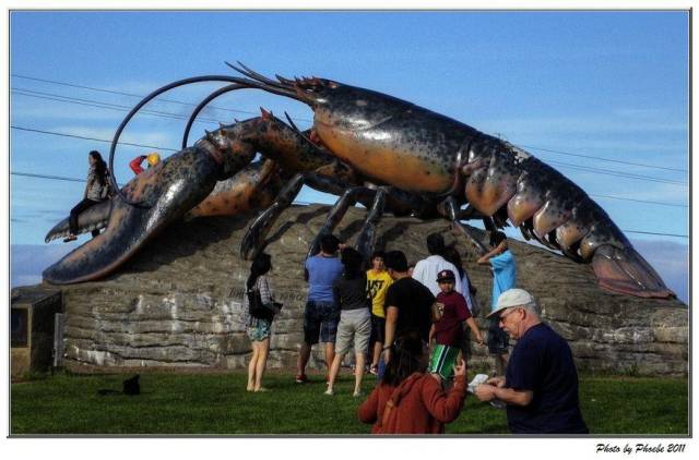 这些"龙虾,螃蟹"可以吃了你,你还敢吃它们吗?