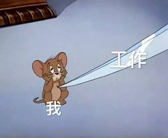 工作和我