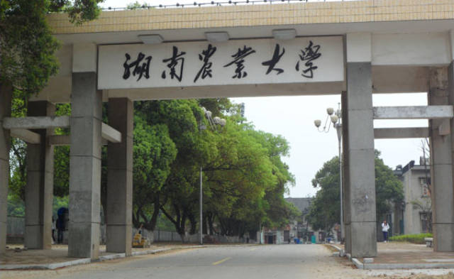 湖南农业大学图片大门图片