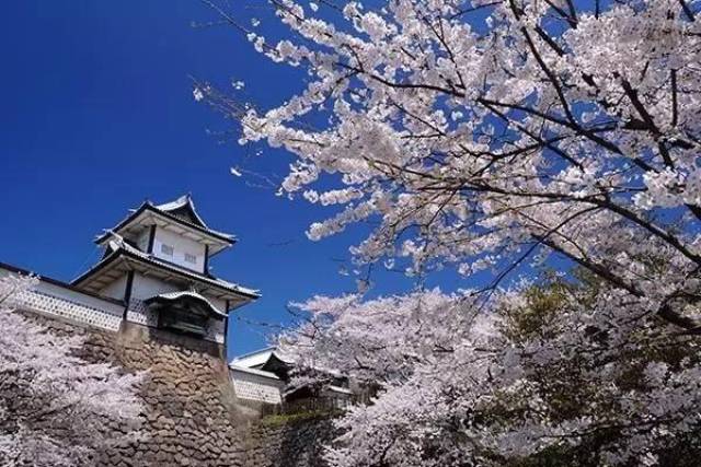 北陆新干线上最时尚的日本路线新日本黄金线