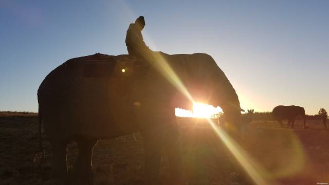 3个首都、4个种族、11种官方语言,请重新认识