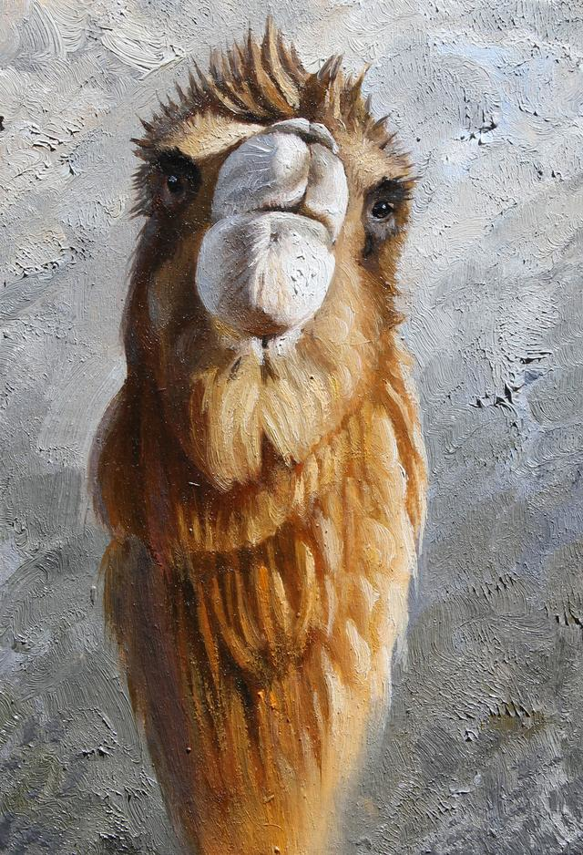 世界油画史中罕见的骆驼肖像系列作品