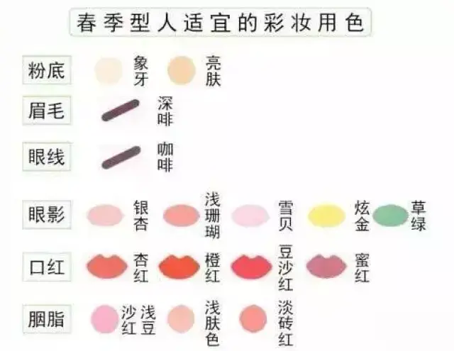 行业新风潮：蒂蔻集团引领时尚潮流
