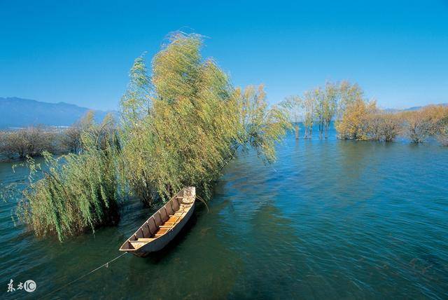 魏新雨歌曲《最美的情缘》走红 成广场舞新宠