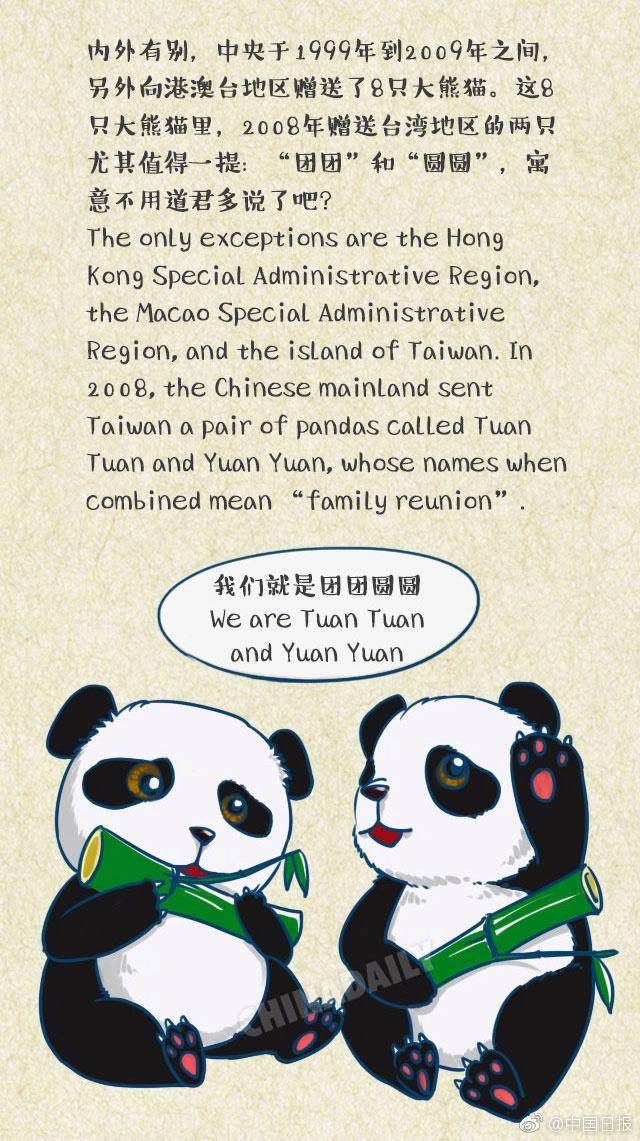 熊猫的英语海报图片