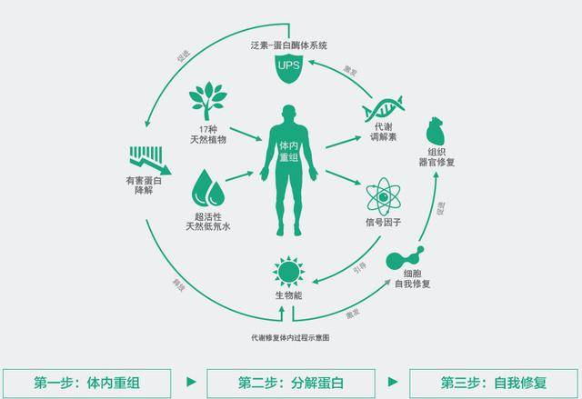 生命的本质特征是代谢,没有代谢,就没有能量转化,就像石头,也就不