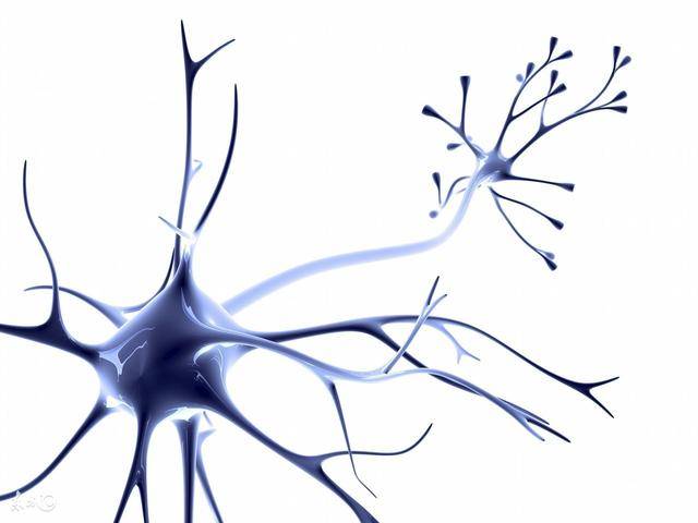 周围神经生物力学简介