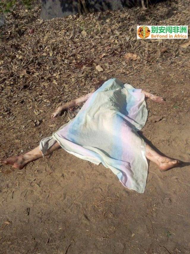 金发美女单身闯印度,一路拍照,但悲剧仍发生了!-旅游频道-手机搜狐