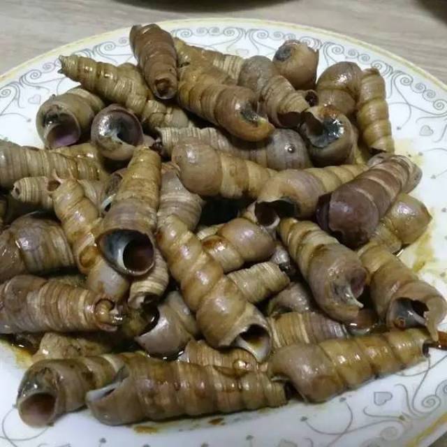 指甲螺