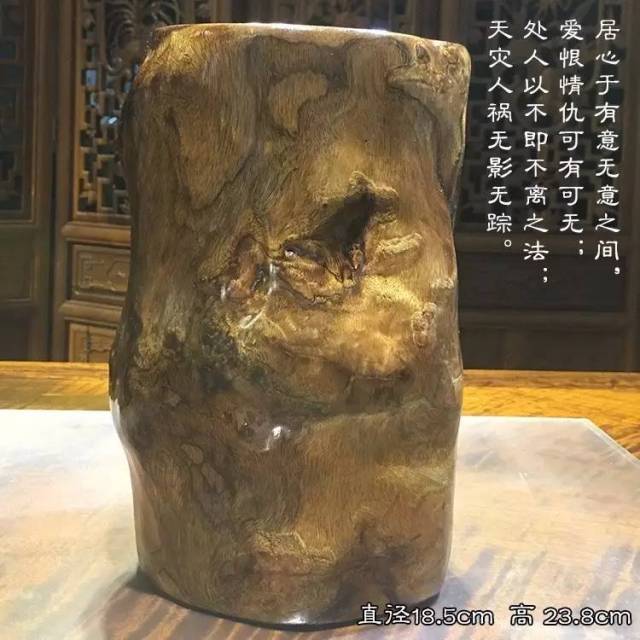 楼市不好欠下巨款,59岁女老赖整成少女躲债