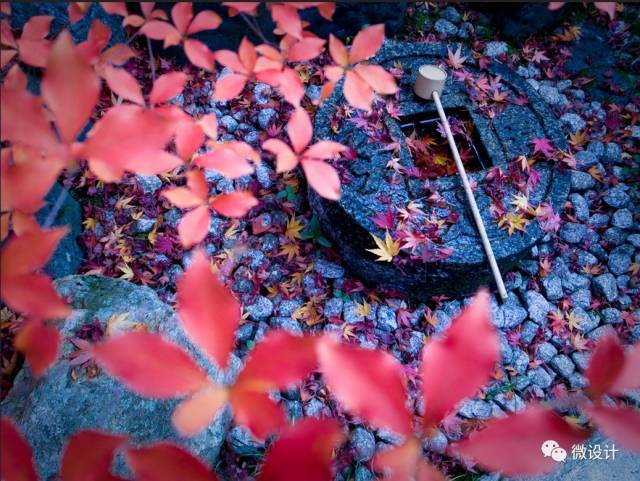 日本十大最美枯山水庭院_手机搜狐网