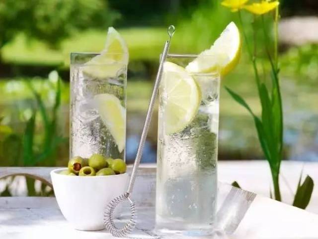 了解一杯简单的金汤力gintonic
