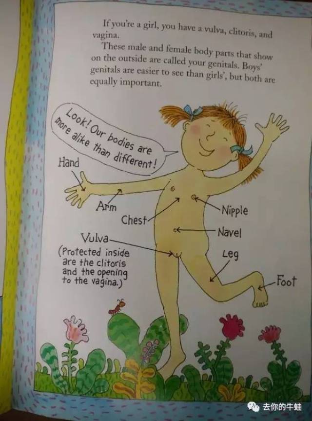 下面是一套网上流传的美国性教育课本
