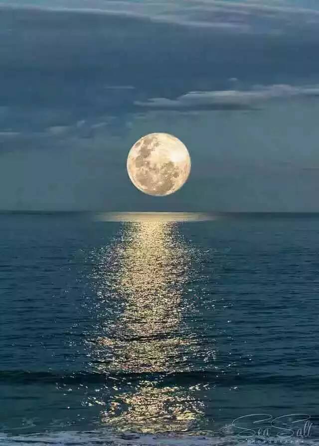月亮掉进水里现代诗图片