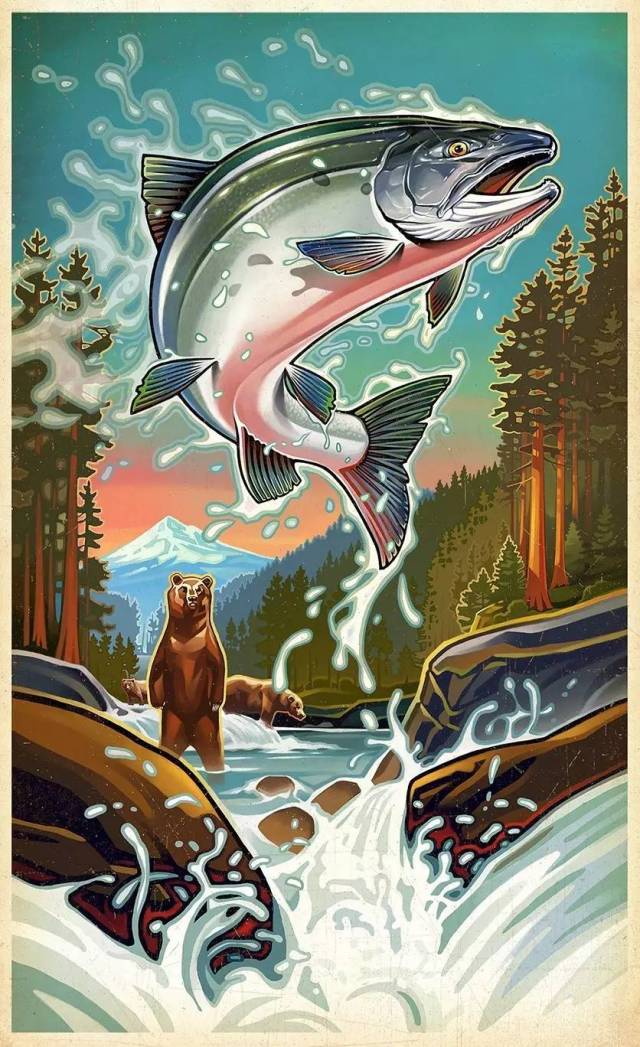 数位板插画