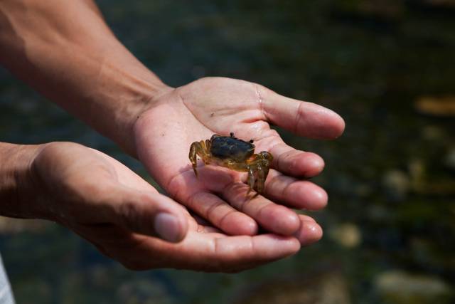 捉蟹大作战,饺子"诞生"记,七彩漂流.亲子旅行就该这么玩!