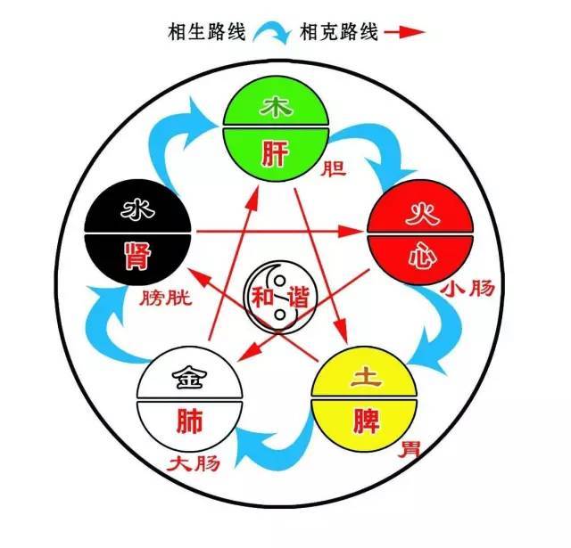 风寒暑湿,风寒暑湿燥火,风寒湿痹_大山谷图库