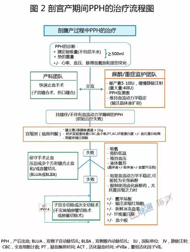 产后出血流程图