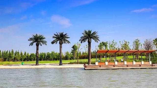 "2017高淳国际慢城·全国(首届)瑜伽健身露营节"亲友观摩团开始占募