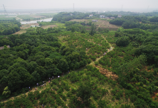 芜湖红杨和平森林公园图片