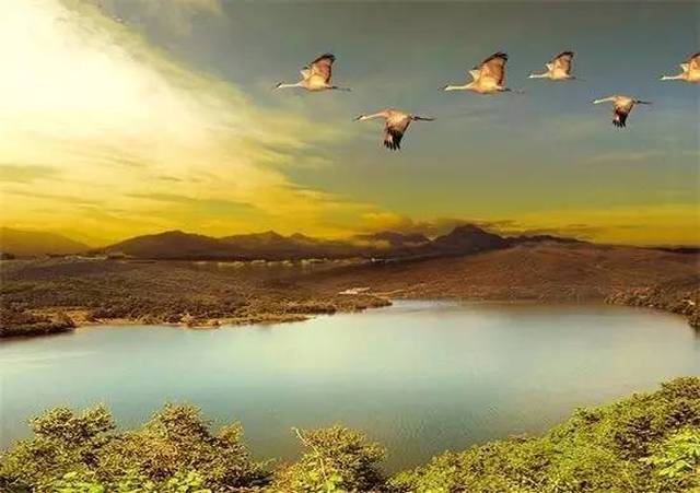 萨克斯《鸿雁》,秋已至,望珍重!