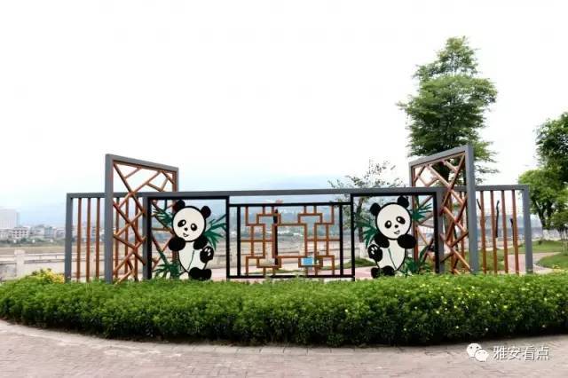 雅安大熊猫家族又增一员,遍布雅安新老城区!