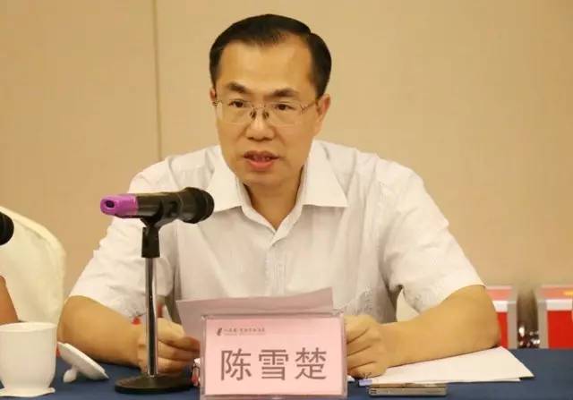 "湖湘青年英才"李智辉同志当选共青团郴州市第五届委员会副书记