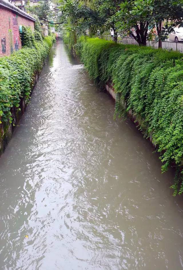 抚琴景系列|朱家碾河,几十年后成了现在的抚琴桃花江