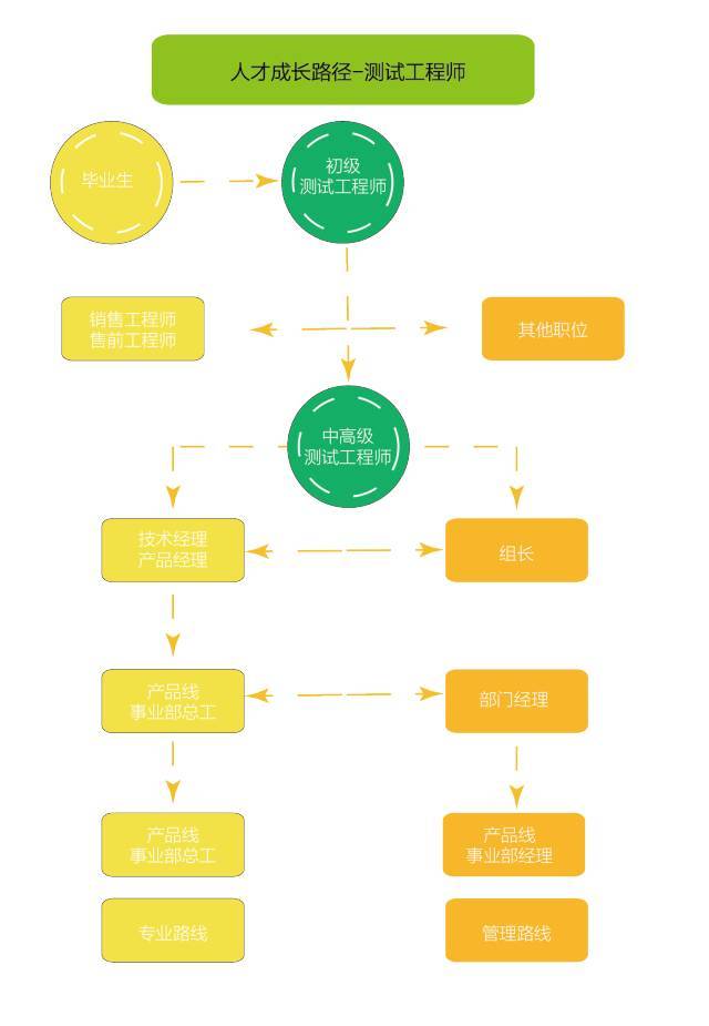 人才成长路径图