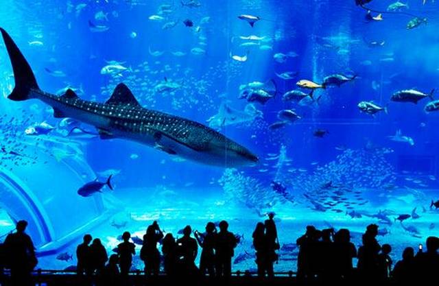 海悦天地海洋馆门票_海悦天地海洋公园团购