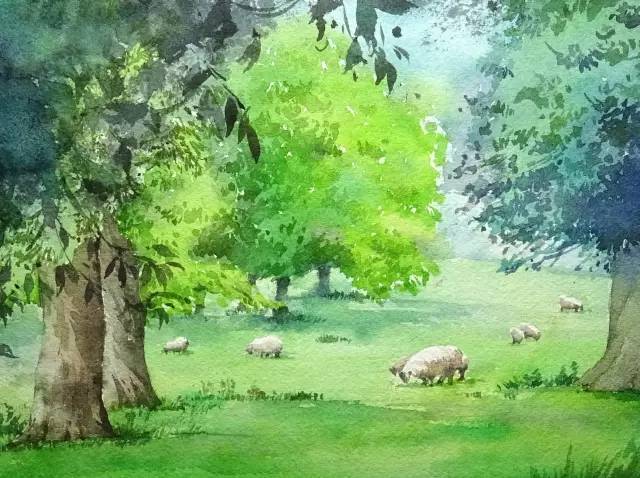 水彩中留白液的运用 |羊群的画法